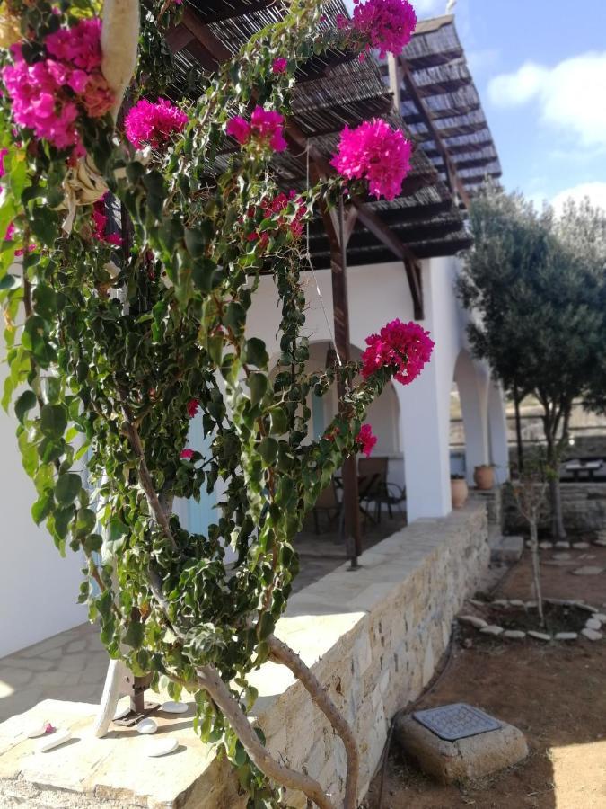 Gio St Gio Apartment 1 Antiparos St.Giorgio Ngoại thất bức ảnh