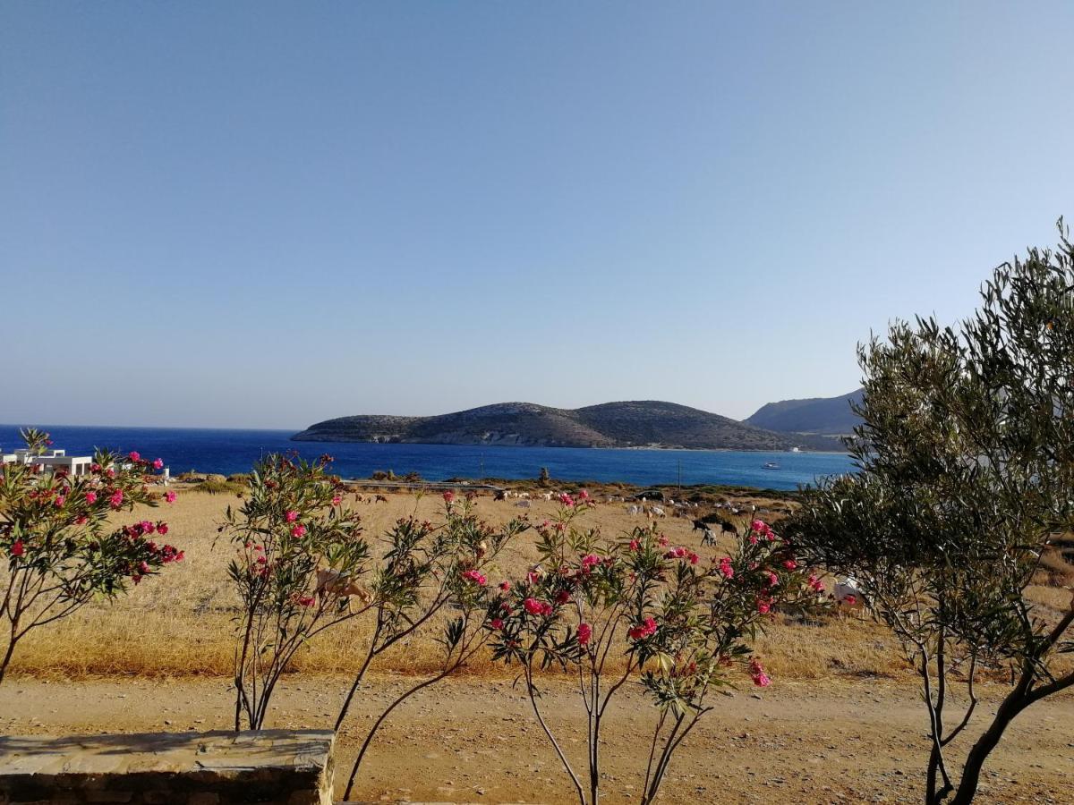 Gio St Gio Apartment 1 Antiparos St.Giorgio Ngoại thất bức ảnh